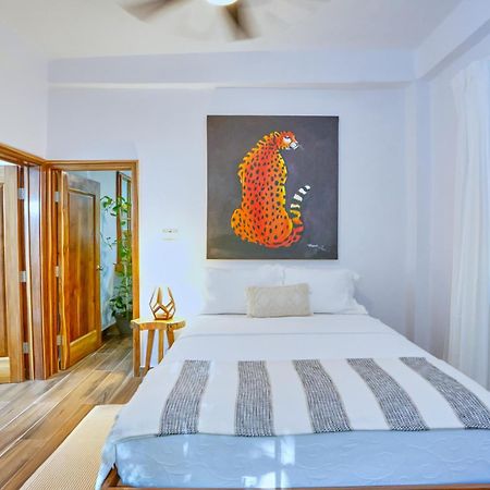 Villa Massis Luxury Villas サン・イグナシオ エクステリア 写真