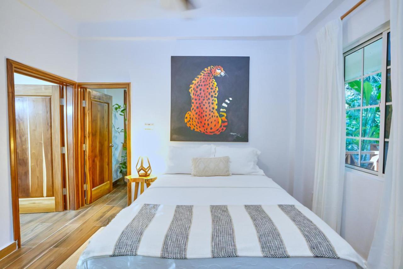 Villa Massis Luxury Villas サン・イグナシオ エクステリア 写真