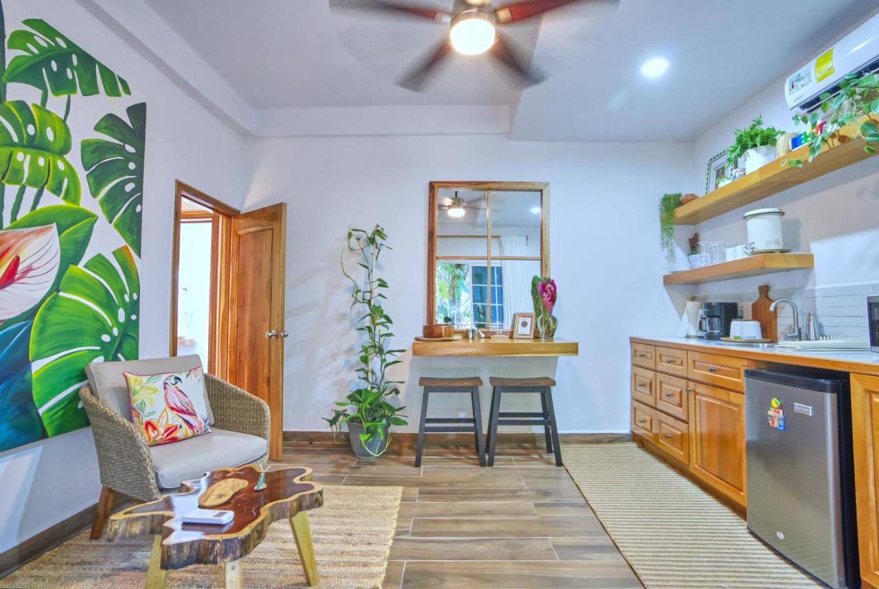 Villa Massis Luxury Villas サン・イグナシオ エクステリア 写真