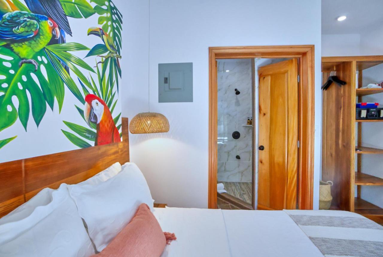 Villa Massis Luxury Villas サン・イグナシオ エクステリア 写真