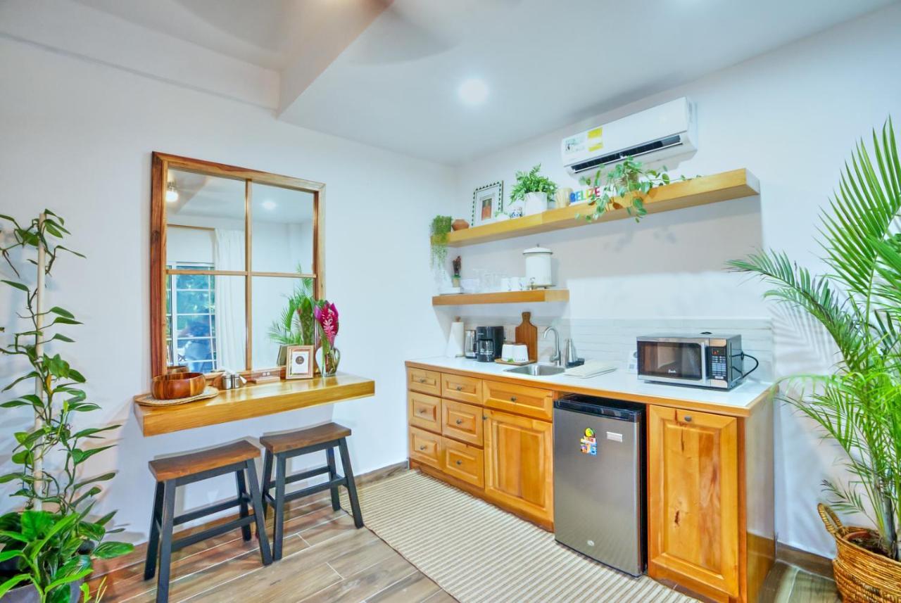Villa Massis Luxury Villas サン・イグナシオ エクステリア 写真
