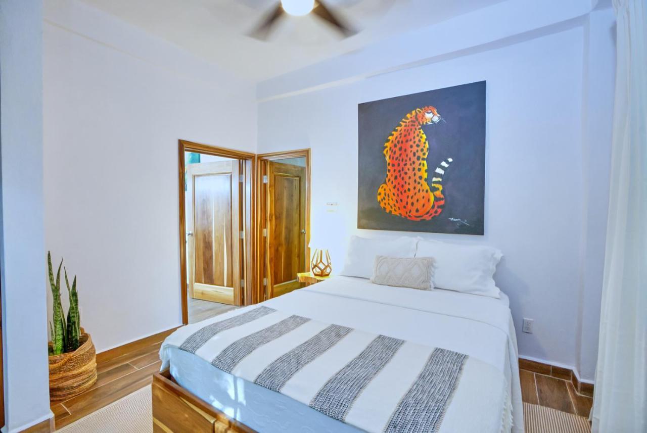 Villa Massis Luxury Villas サン・イグナシオ エクステリア 写真